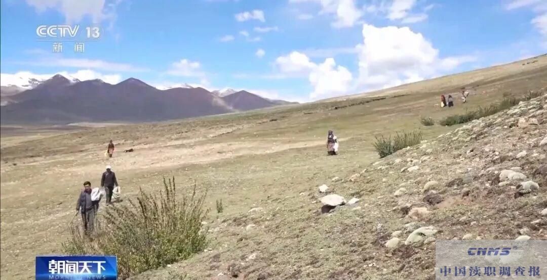 ”疯狂烟花秀”至江孜县多人被免职并立案审查调查|其中破坏土壤草毡层15.29亩 (图3) ”疯狂烟花秀”至江孜县多人被免职并立案审查调查|其中破坏土壤草毡层15.29亩 (图3)
