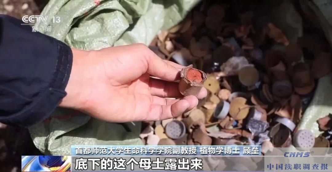 ”疯狂烟花秀”至江孜县多人被免职并立案审查调查|其中破坏土壤草毡层15.29亩 (图5) ”疯狂烟花秀”至江孜县多人被免职并立案审查调查|其中破坏土壤草毡层15.29亩 (图5)