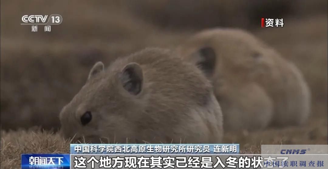 ”疯狂烟花秀”至江孜县多人被免职并立案审查调查|其中破坏土壤草毡层15.29亩 (图6) ”疯狂烟花秀”至江孜县多人被免职并立案审查调查|其中破坏土壤草毡层15.29亩 (图6)