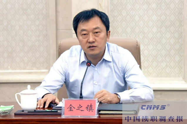 ▲金之镇（资料图）